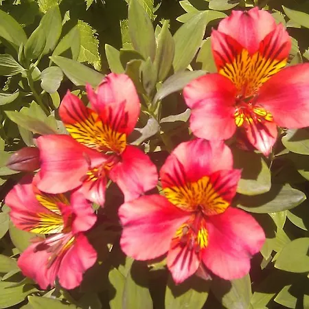 De France 3* Pontorson