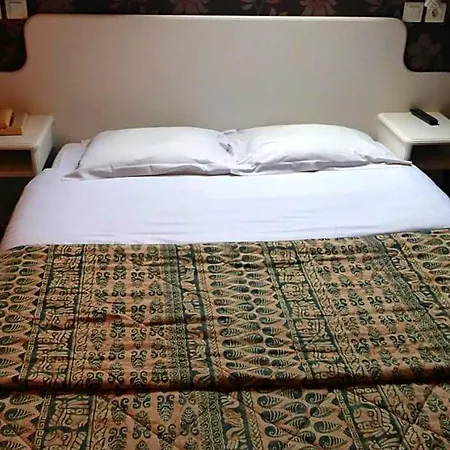 法兰西酒店 3*