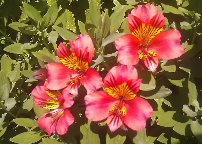 De France 3* Pontorson